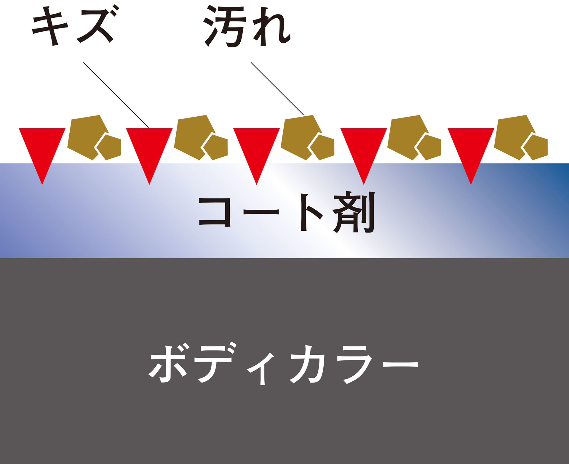 ボディコーティング